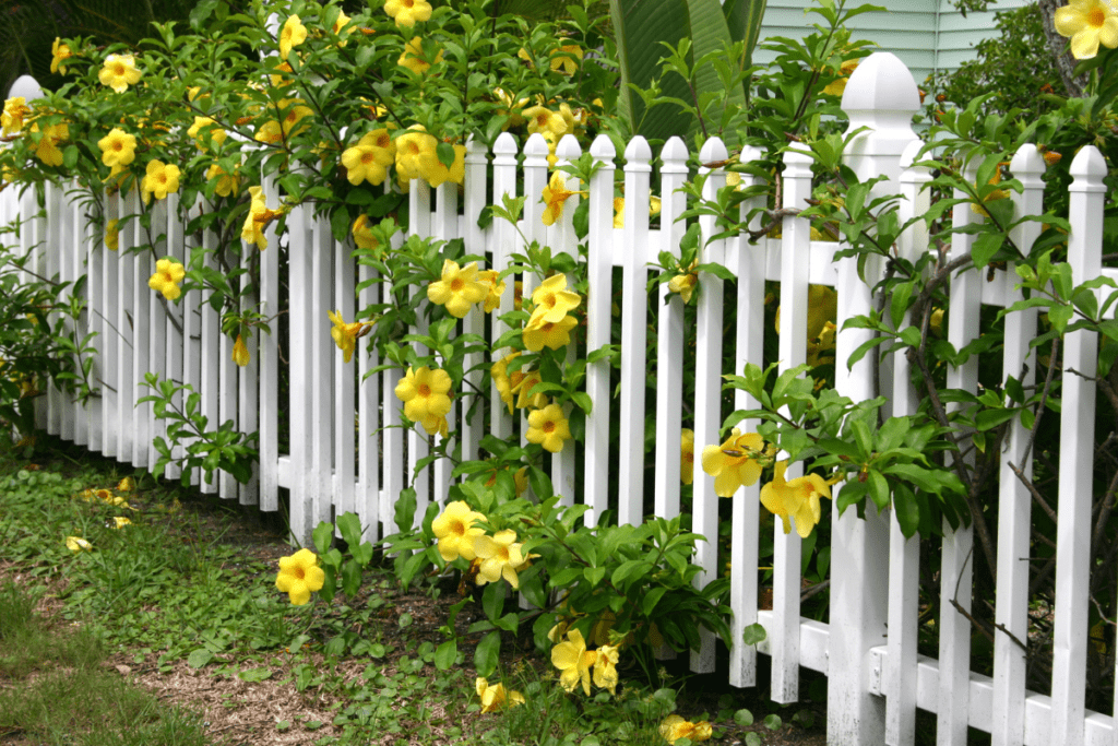 Understanding HOA Fence Rules - Kuester